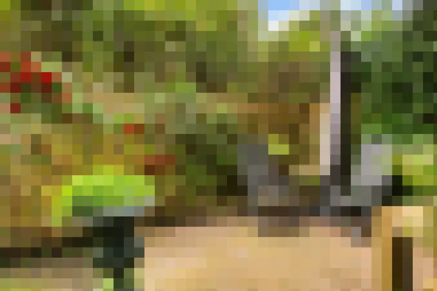 Hugo de Grootstraat 8 Utrecht thumbnail 33