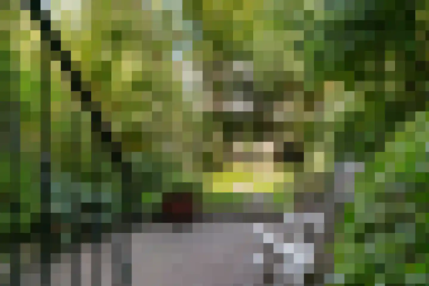 Hugo de Grootstraat 8 Utrecht thumbnail 42