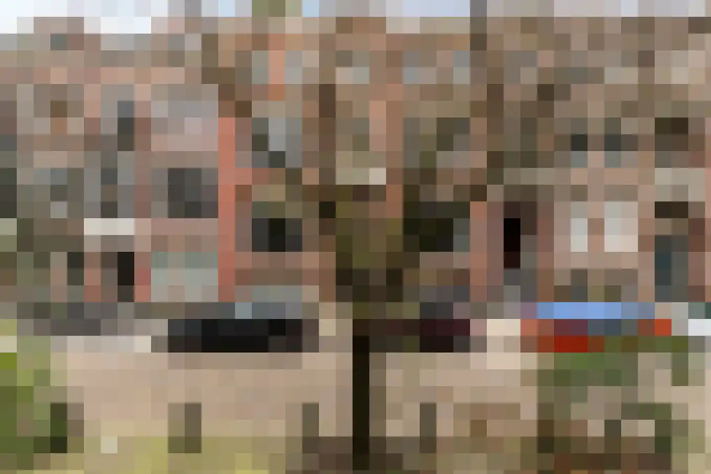 Hugo de Grootstraat 8 Utrecht thumbnail 47