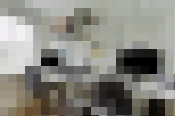Hugo de Grootstraat 84 Purmerend thumbnail 23