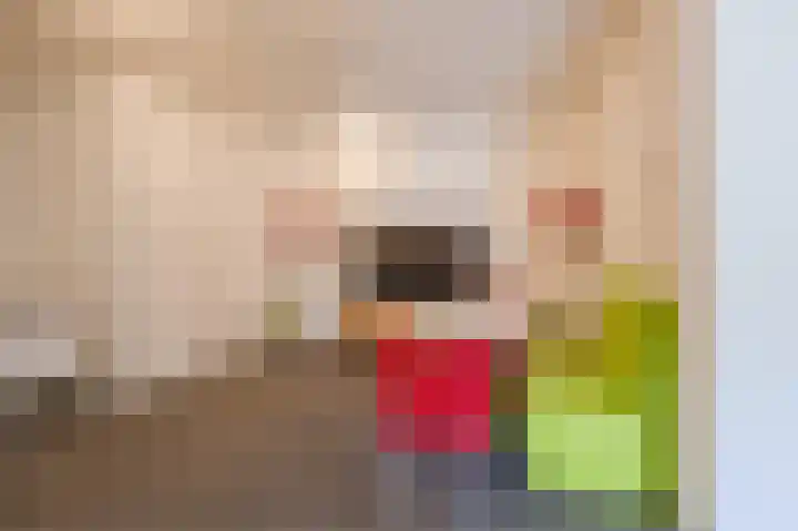 Hugo de Grootstraat 87 Schiedam thumbnail 35