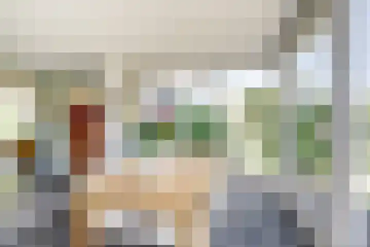 Hugo de Grootweg 13 Sleeuwijk thumbnail 10