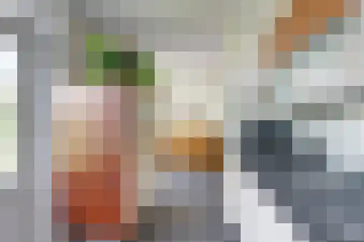 Hugo de Grootweg 13 Sleeuwijk thumbnail 11