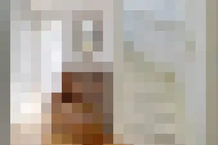 Hugo de Grootweg 13 Sleeuwijk thumbnail 21