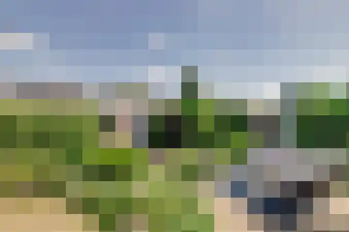Hugo de Grootweg 13 Sleeuwijk thumbnail 29