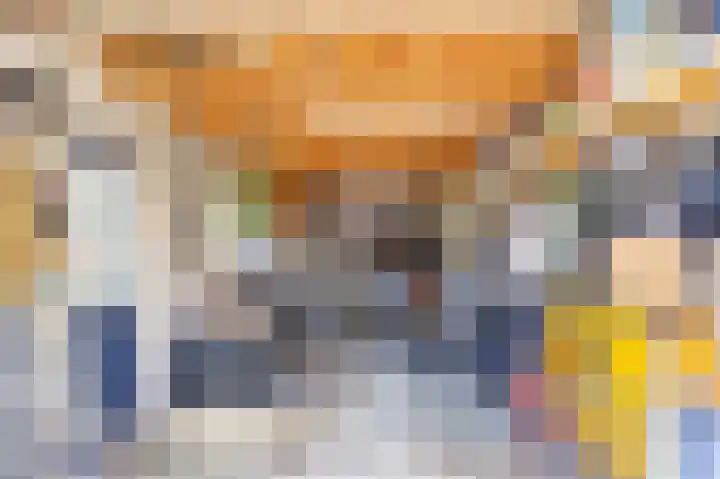 Hugo de Grootweg 13 Sleeuwijk thumbnail 32