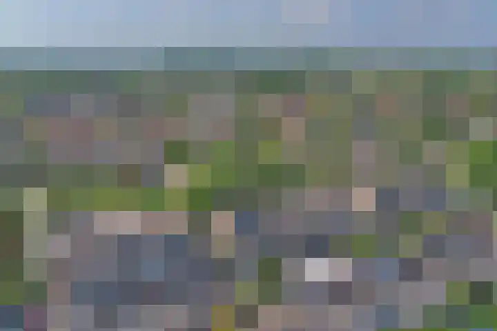 Hugo de Grootweg 13 Sleeuwijk thumbnail 35