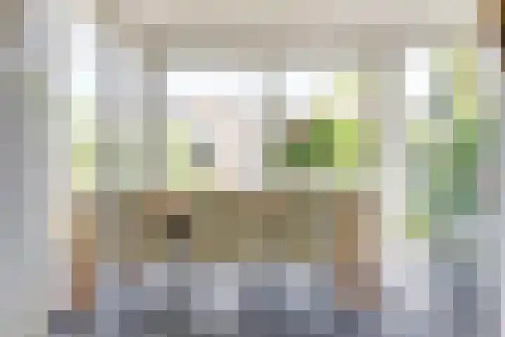 Hugo de Grootweg 13 Sleeuwijk thumbnail 9