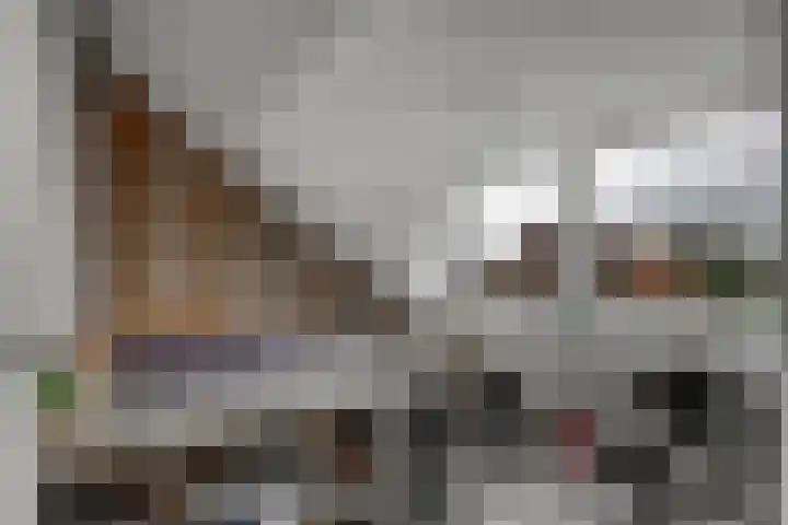 Hugo de Grootweg 21 Sleeuwijk thumbnail 20