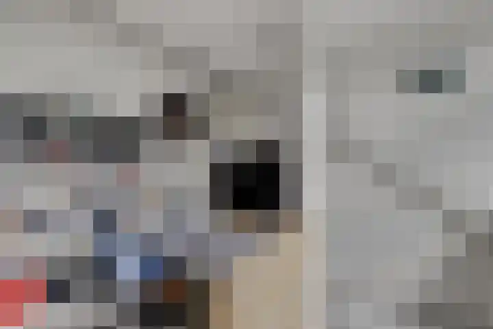 Hugo de Grootweg 21 Sleeuwijk thumbnail 26