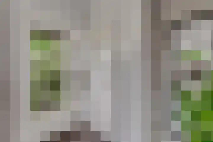 Hugo de Grootweg 21 Sleeuwijk thumbnail 29