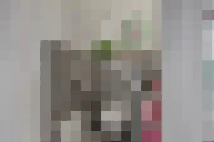 Hugo de Grootweg 21 Sleeuwijk thumbnail 30