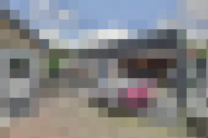 Hugo de Grootweg 21 Sleeuwijk thumbnail 32