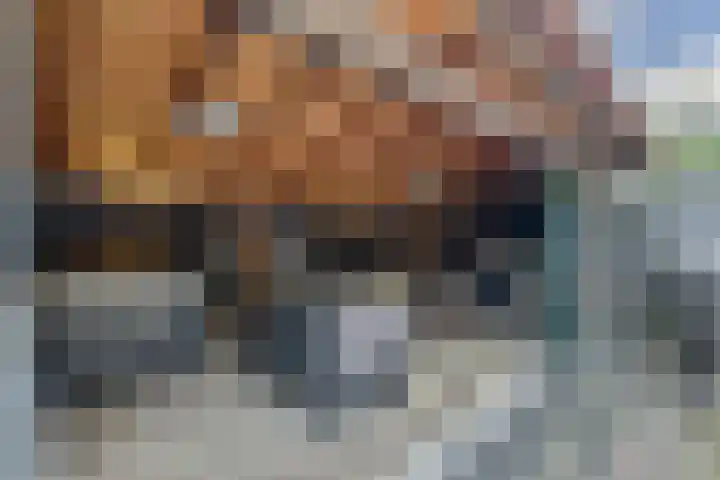 Hugo de Grootweg 21 Sleeuwijk thumbnail 34