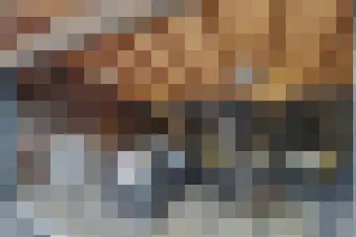 Hugo de Grootweg 21 Sleeuwijk thumbnail 35