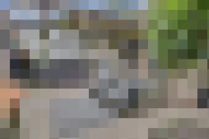 Hugo de Grootweg 21 Sleeuwijk thumbnail 37