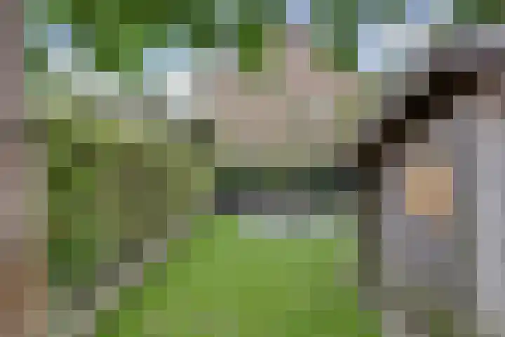 Hugo de Grootweg 21 Sleeuwijk thumbnail 40