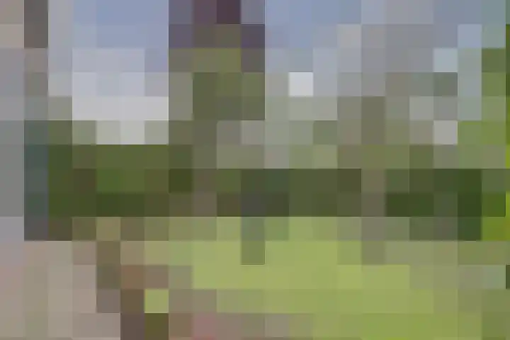 Hugo de Grootweg 21 Sleeuwijk thumbnail 41