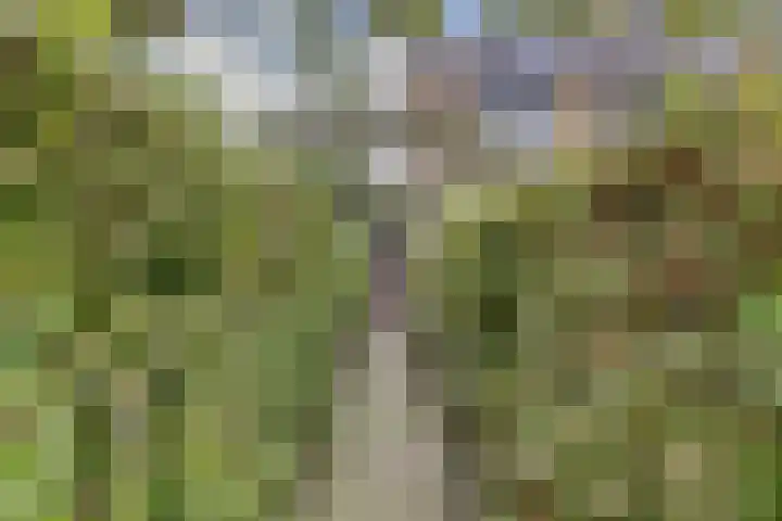 Hugo de Grootweg 21 Sleeuwijk thumbnail 42