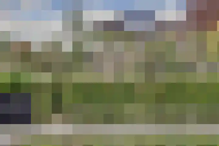 Hugo de Grootweg 21 Sleeuwijk thumbnail 45