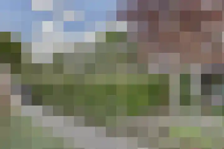 Hugo de Grootweg 21 Sleeuwijk thumbnail 46