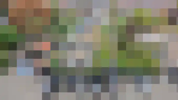 Hugo de Grootweg 21 Sleeuwijk thumbnail 49