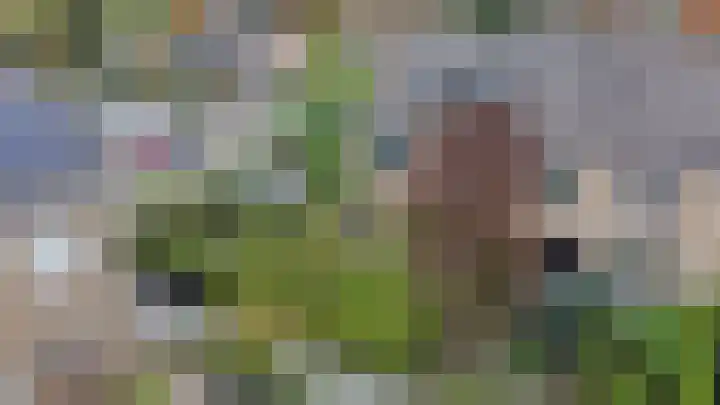 Hugo de Grootweg 21 Sleeuwijk thumbnail 50