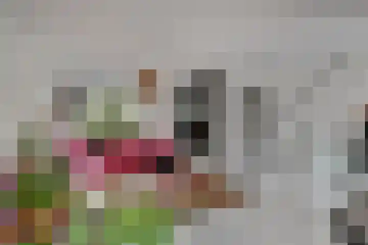 Hugo de Grootweg 21 Sleeuwijk thumbnail 7
