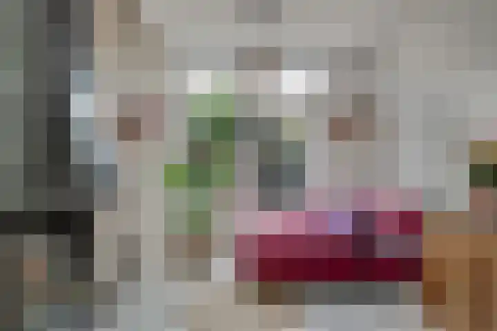 Hugo de Grootweg 21 Sleeuwijk thumbnail 8