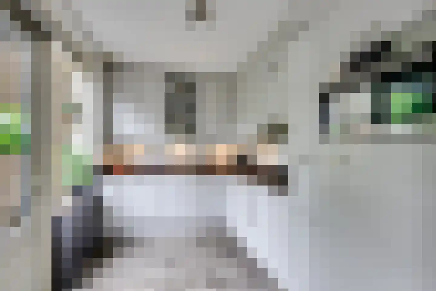 Hugo de Grootweg 27 Sleeuwijk thumbnail 12