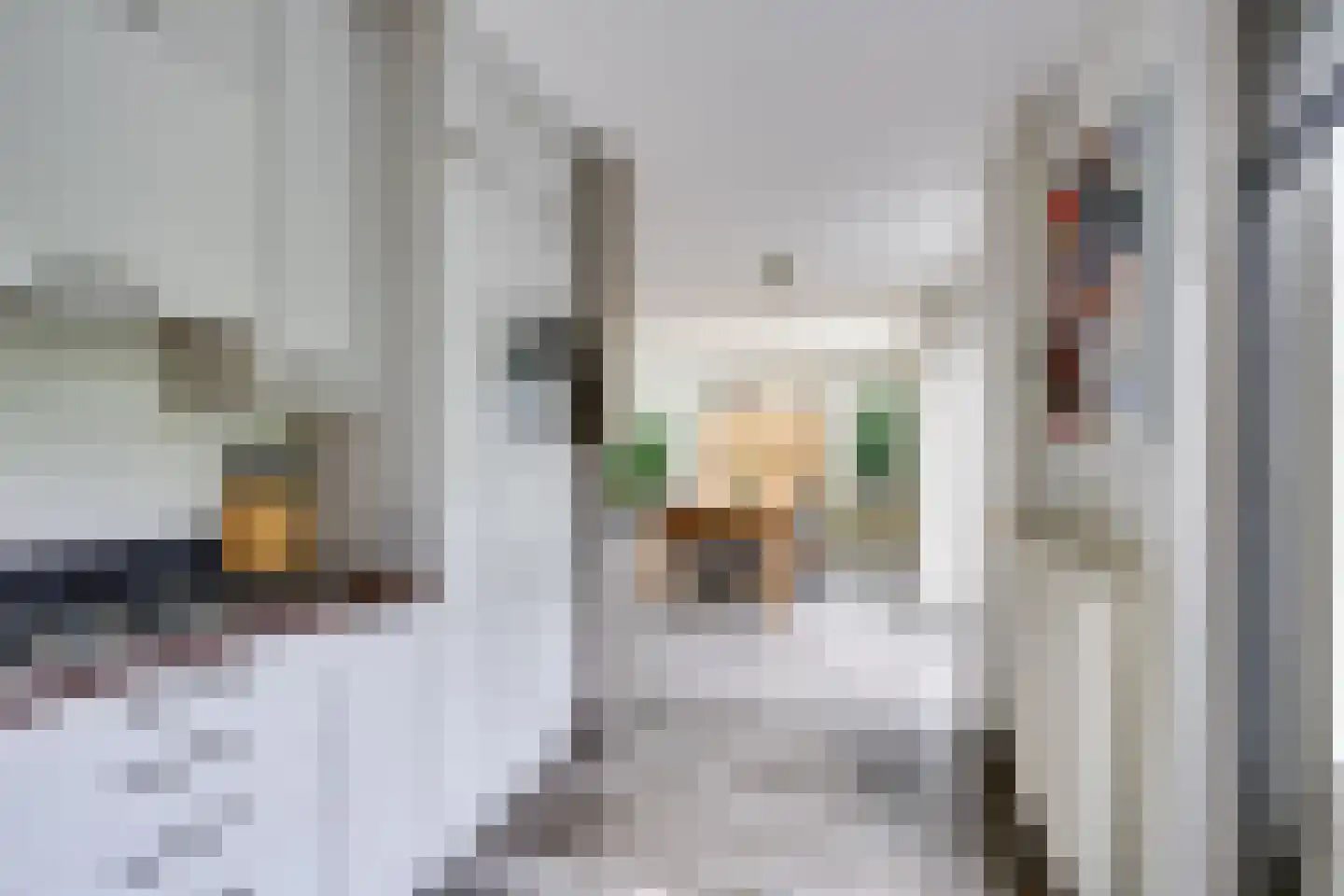 Hugo de Grootweg 27 Sleeuwijk thumbnail 13