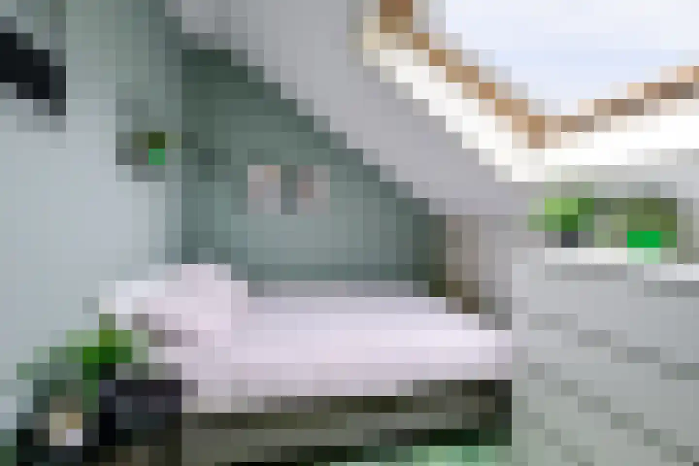 Hugo de Grootweg 27 Sleeuwijk thumbnail 26