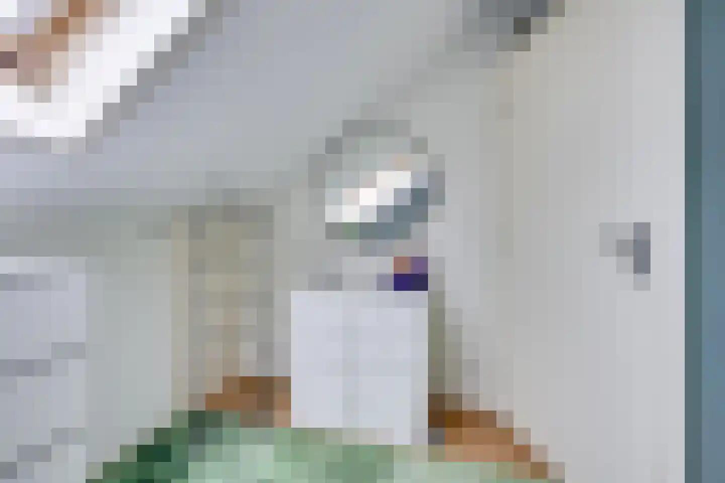 Hugo de Grootweg 27 Sleeuwijk thumbnail 27