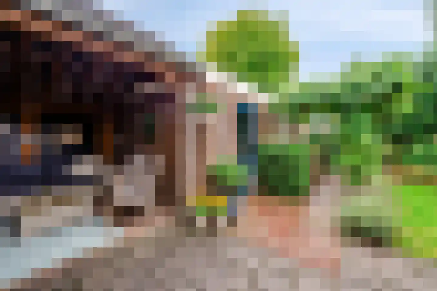 Hugo de Grootweg 27 Sleeuwijk thumbnail 30