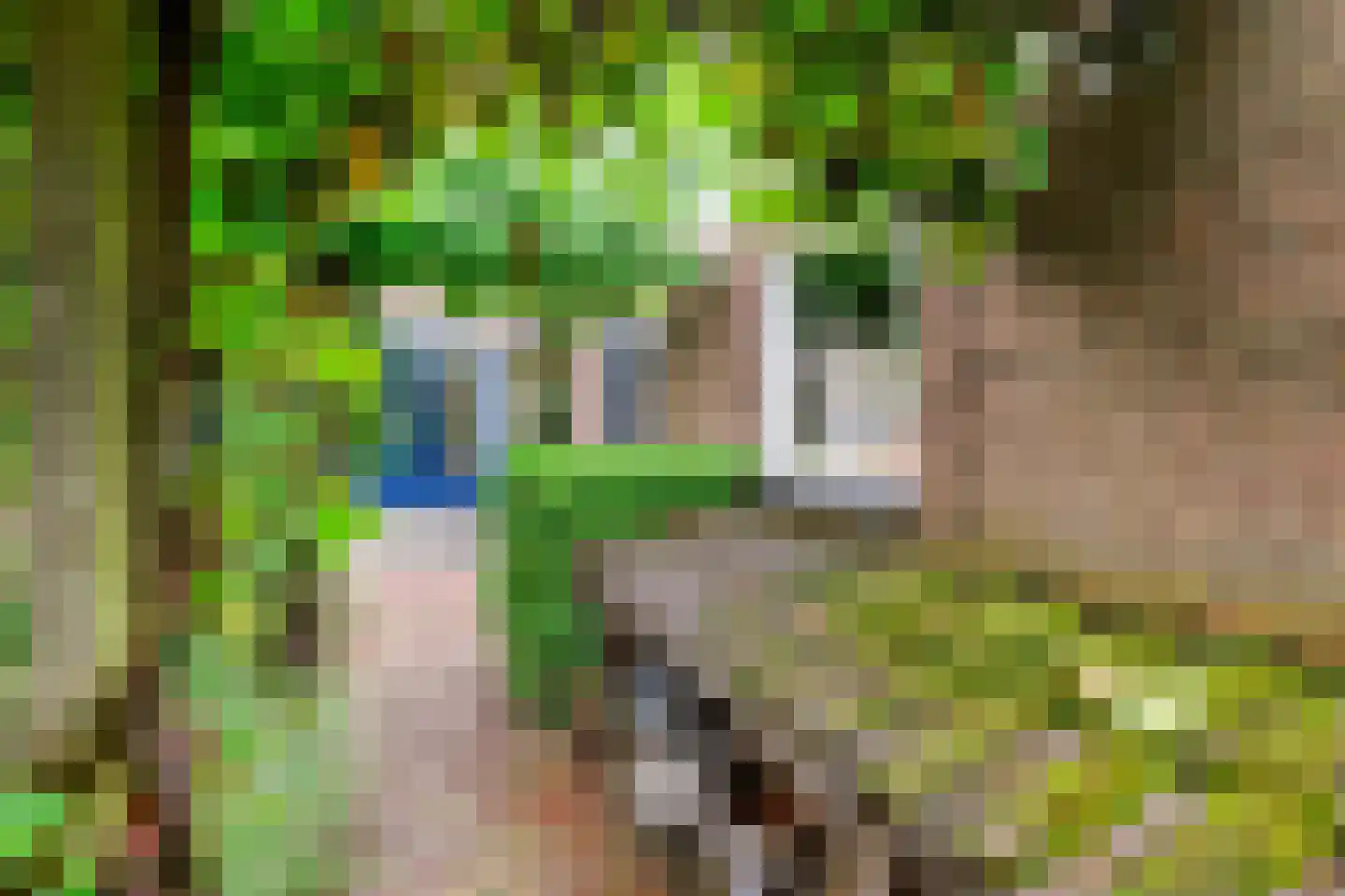 Hugo de Grootweg 27 Sleeuwijk thumbnail 32