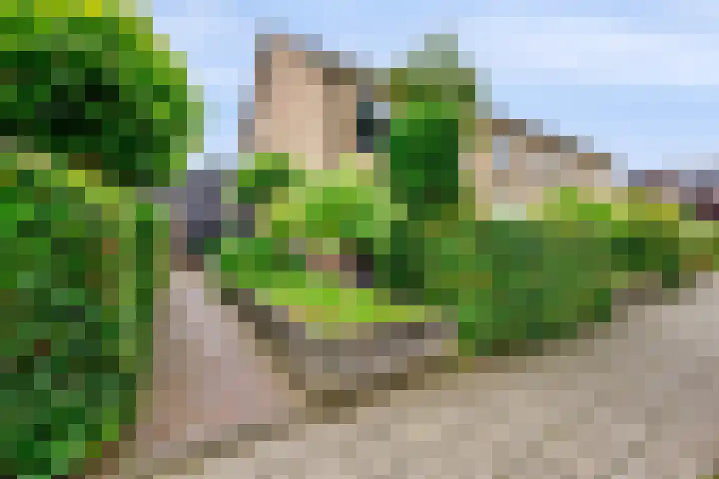 Hugo de Grootweg 27 Sleeuwijk thumbnail 4