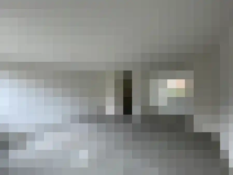 Hugo de Vries-serre 3 Amersfoort thumbnail 5