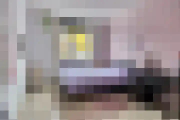 Hugo de Vries-serre 7 Amersfoort thumbnail 17