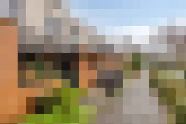 Hugo de Vries-serre 7 Amersfoort thumbnail 32