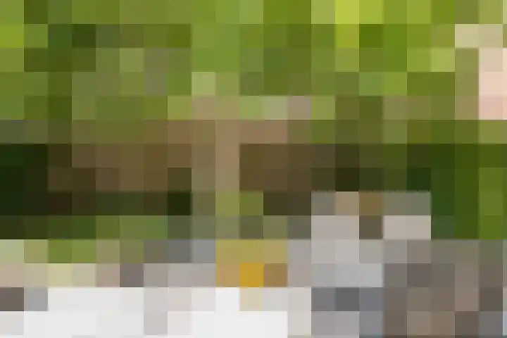 Hugo de Vrieslaan 15 Oegstgeest thumbnail 14