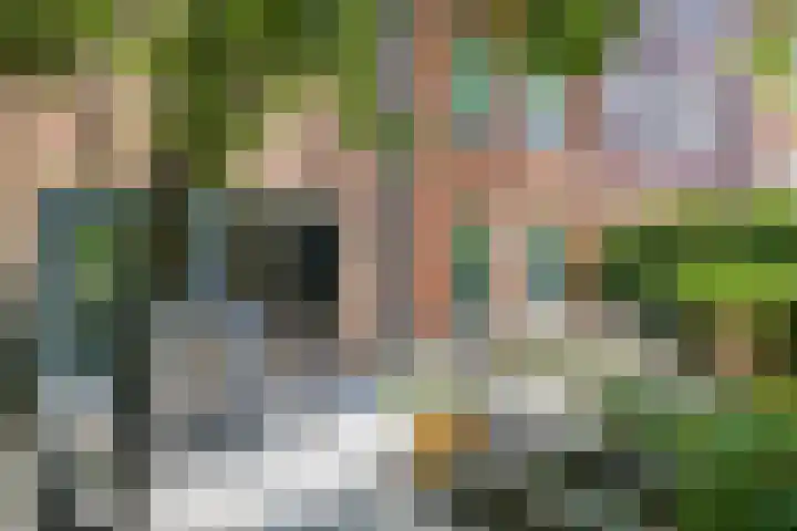 Hugo de Vrieslaan 15 Oegstgeest thumbnail 15