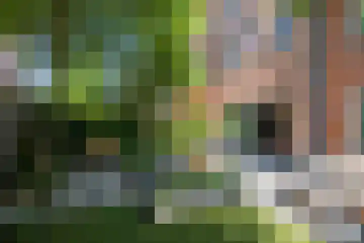 Hugo de Vrieslaan 15 Oegstgeest thumbnail 16