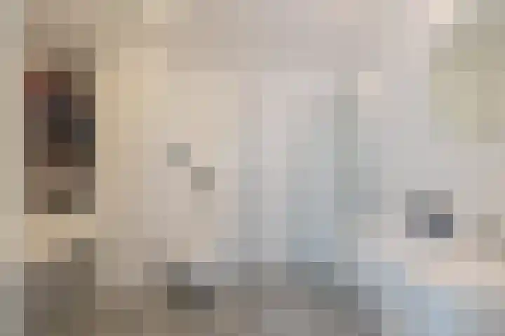 Hugo de Vrieslaan 15 Oegstgeest thumbnail 21