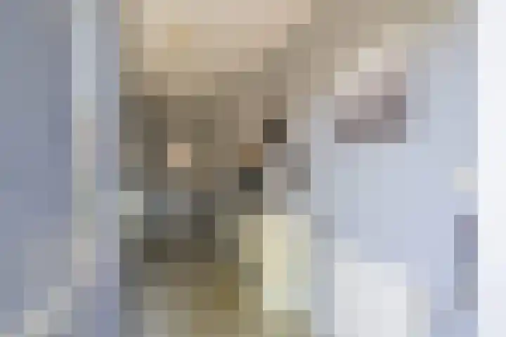 Hugo de Vrieslaan 15 Oegstgeest thumbnail 5