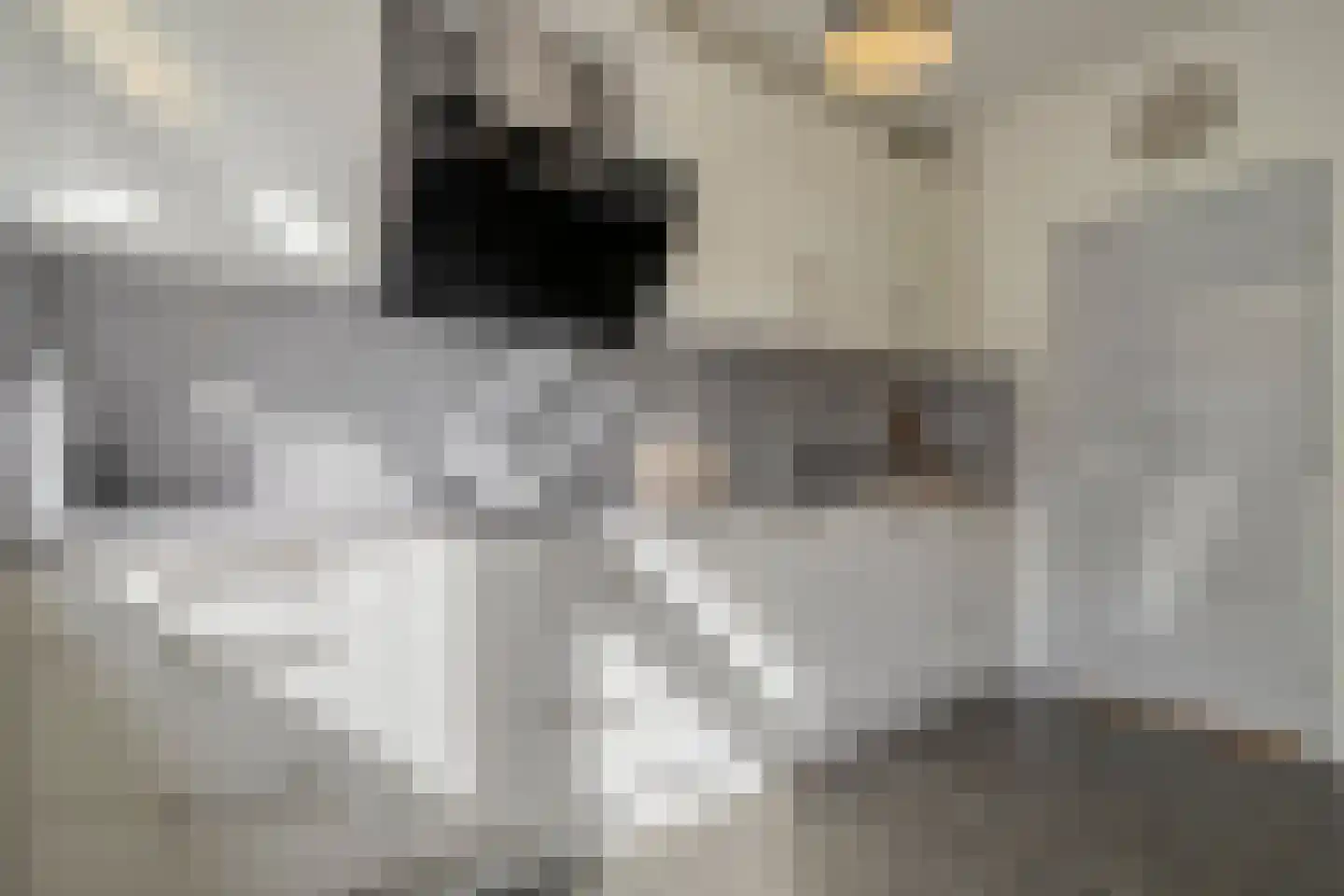 Hugo de Vrieslaan 17 Zwolle thumbnail 25