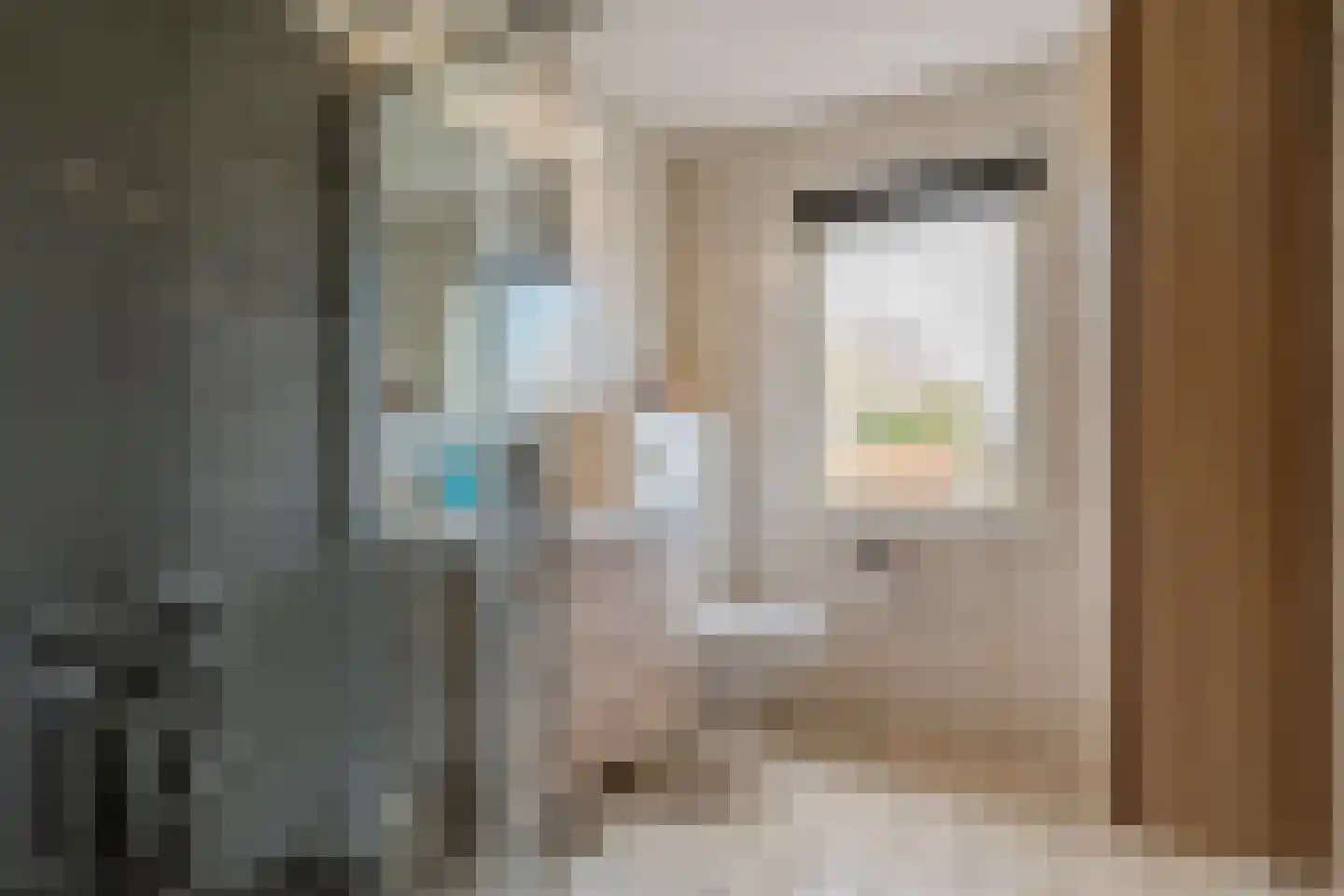 Hugo de Vrieslaan 17 Zwolle thumbnail 29