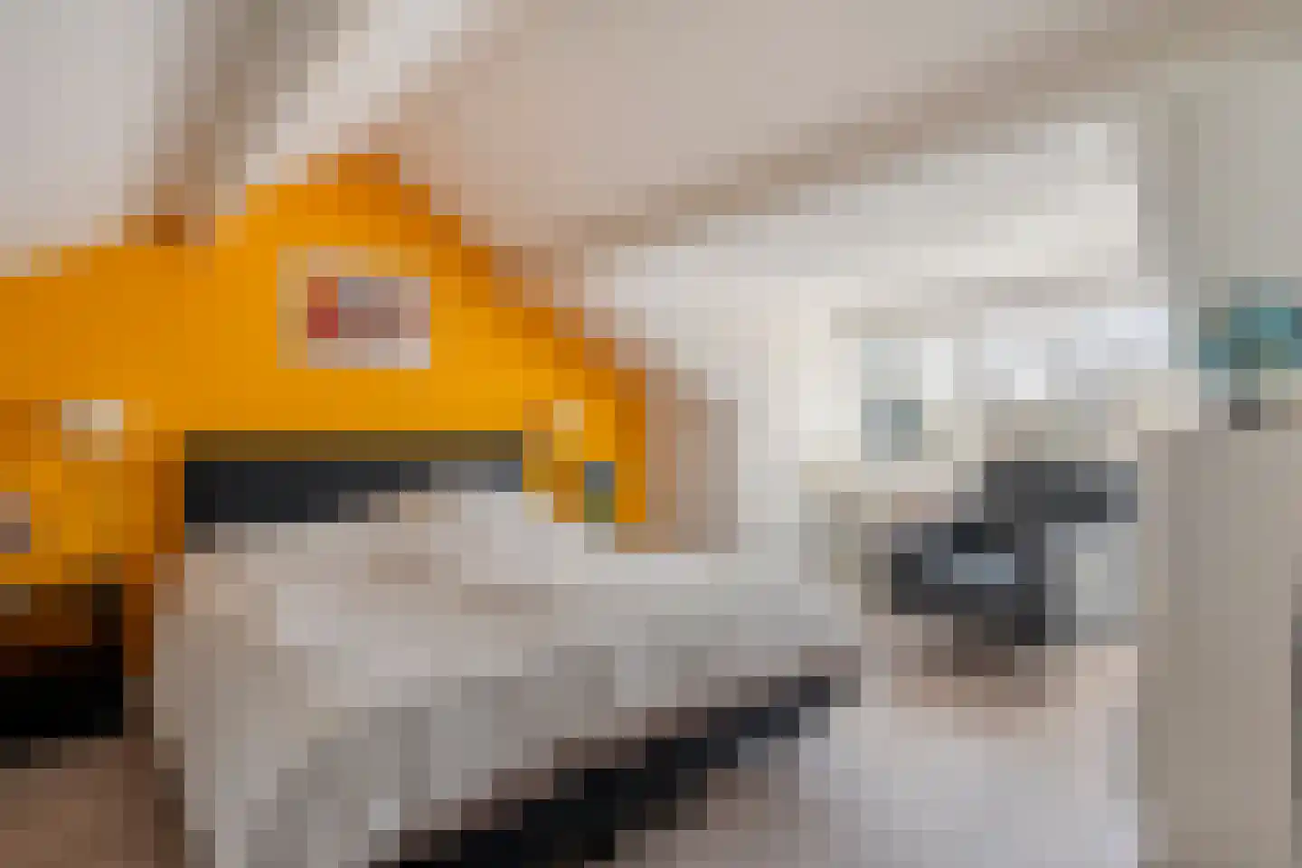 Hugo de Vrieslaan 17 Zwolle thumbnail 33