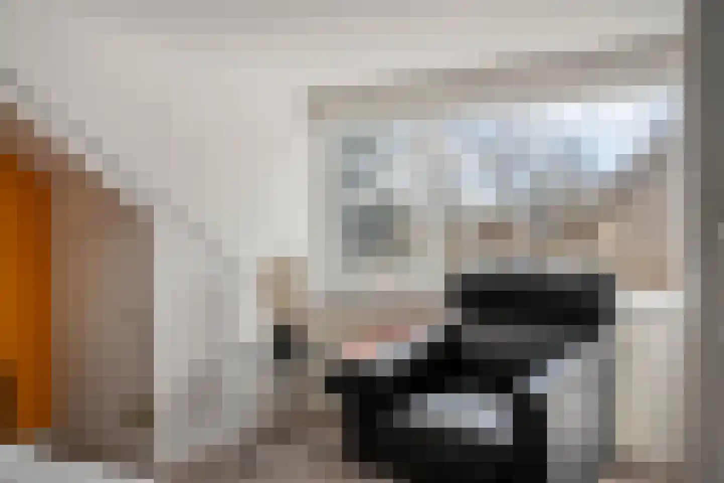 Hugo de Vrieslaan 17 Zwolle thumbnail 35