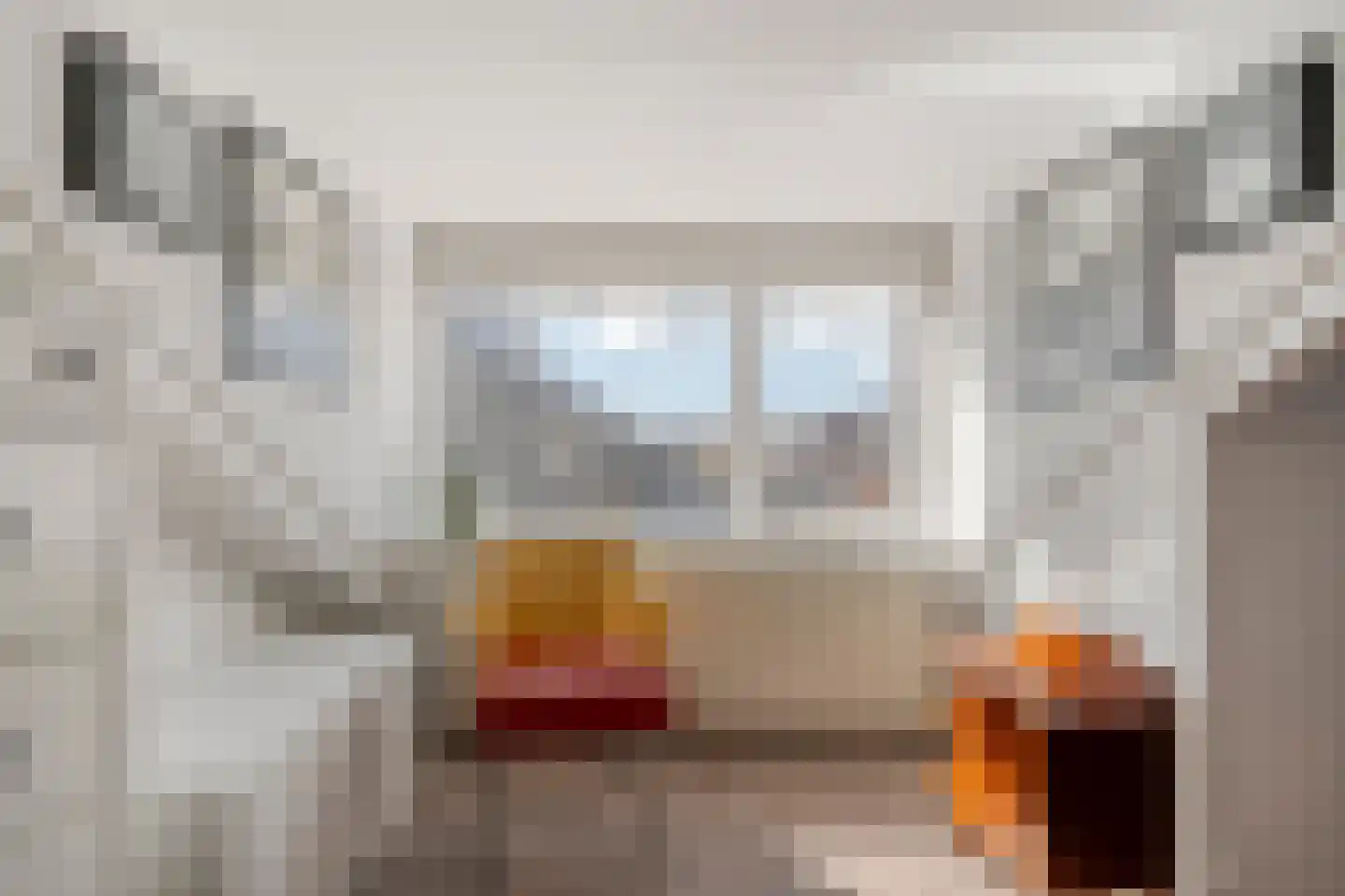 Hugo de Vrieslaan 17 Zwolle thumbnail 39