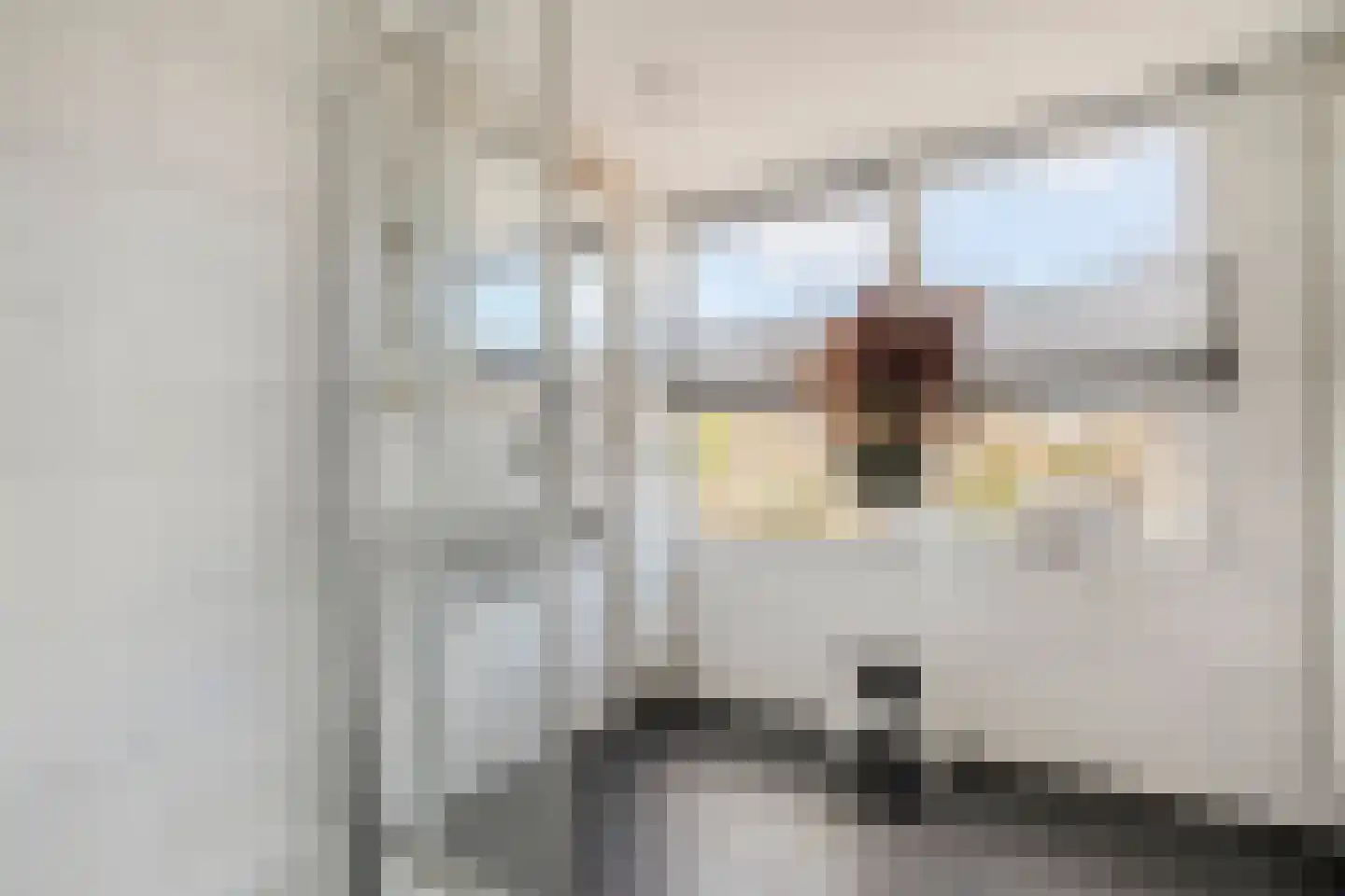 Hugo de Vrieslaan 17 Zwolle thumbnail 41